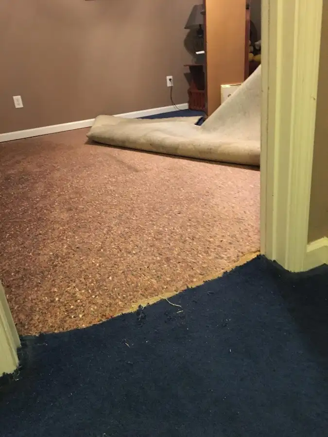 Carpet pad removal revealing water damage during Drying & Dehumidification in Mount Washington