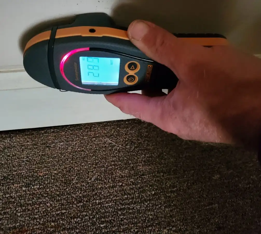 Moisture detection at baseboard during Mold Inspection & Testing in Mount Washington